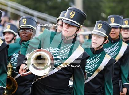 Thumbnail 1 in Mulberry @ George Jenkins photogallery.