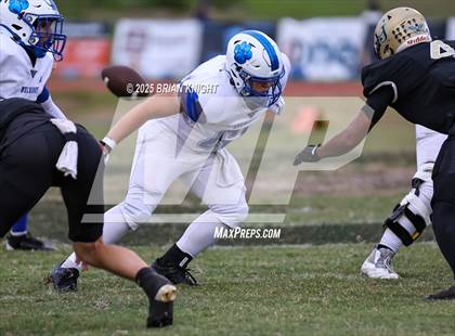 Thumbnail 1 in Mulberry @ George Jenkins photogallery.