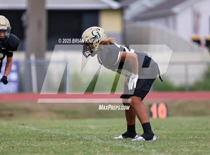 Thumbnail 1 in Mulberry @ George Jenkins photogallery.