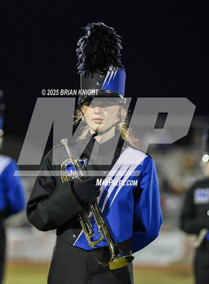 Thumbnail 3 in Mulberry @ George Jenkins photogallery.