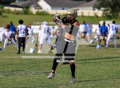 Thumbnail 2 in Mulberry @ George Jenkins photogallery.