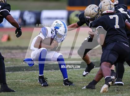 Thumbnail 1 in Mulberry @ George Jenkins photogallery.