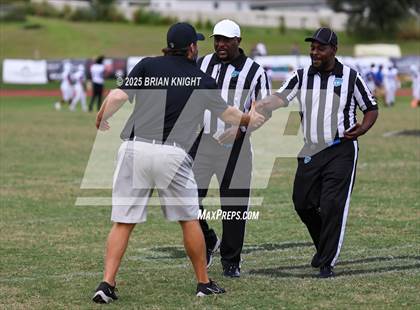 Thumbnail 3 in Mulberry @ George Jenkins photogallery.