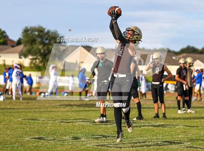 Thumbnail 3 in Mulberry @ George Jenkins photogallery.