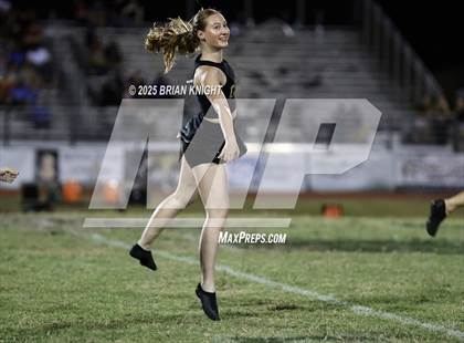 Thumbnail 2 in Mulberry @ George Jenkins photogallery.