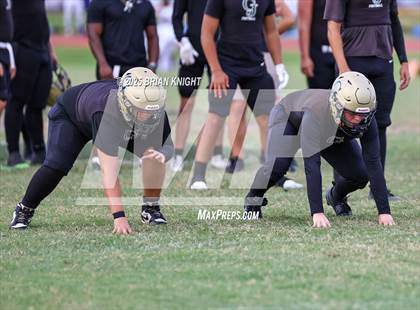 Thumbnail 1 in Mulberry @ George Jenkins photogallery.