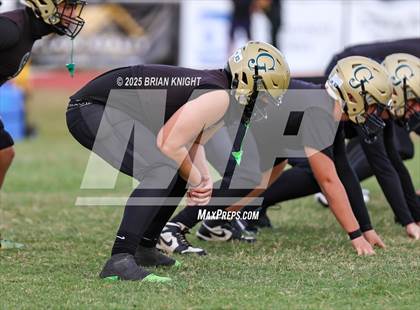 Thumbnail 3 in Mulberry @ George Jenkins photogallery.