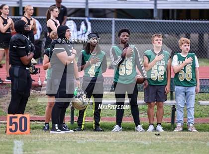 Thumbnail 2 in Mulberry @ George Jenkins photogallery.