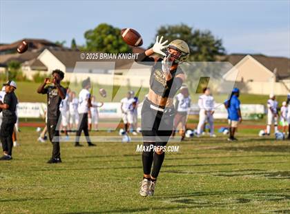 Thumbnail 2 in Mulberry @ George Jenkins photogallery.