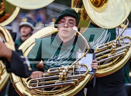 Thumbnail 3 in Mulberry @ George Jenkins photogallery.