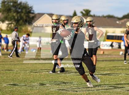 Thumbnail 1 in Mulberry @ George Jenkins photogallery.