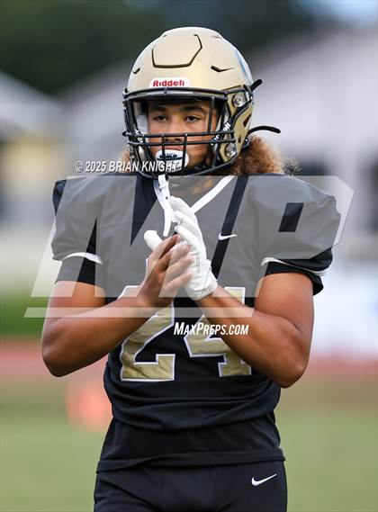 Thumbnail 2 in Mulberry @ George Jenkins photogallery.