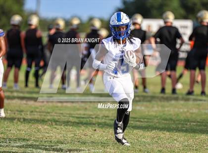 Thumbnail 3 in Mulberry @ George Jenkins photogallery.