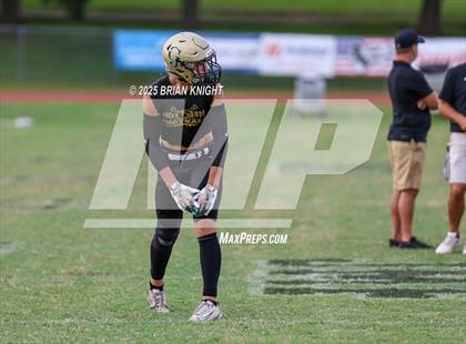 Thumbnail 2 in Mulberry @ George Jenkins photogallery.