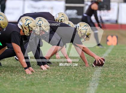 Thumbnail 2 in Mulberry @ George Jenkins photogallery.