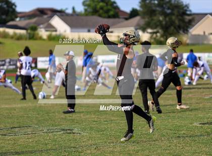 Thumbnail 1 in Mulberry @ George Jenkins photogallery.