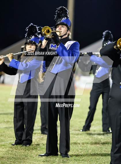 Thumbnail 3 in Mulberry @ George Jenkins photogallery.