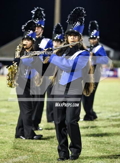 Thumbnail 1 in Mulberry @ George Jenkins photogallery.