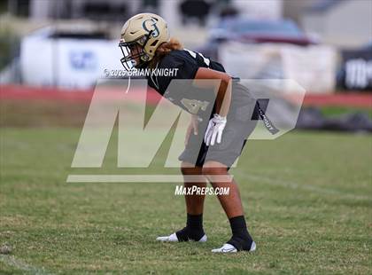 Thumbnail 3 in Mulberry @ George Jenkins photogallery.