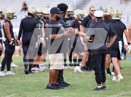 Thumbnail 1 in Mulberry @ George Jenkins photogallery.