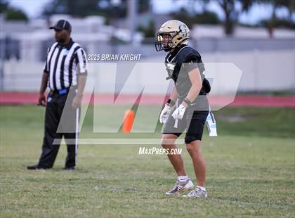 Thumbnail 3 in Mulberry @ George Jenkins photogallery.