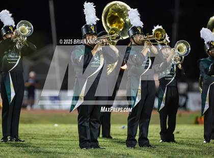 Thumbnail 2 in Mulberry @ George Jenkins photogallery.