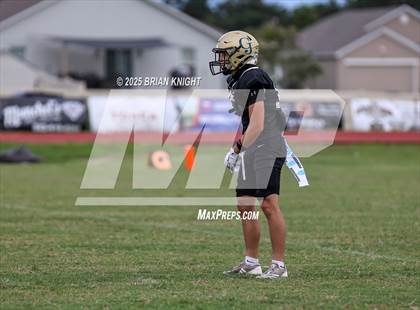 Thumbnail 1 in Mulberry @ George Jenkins photogallery.