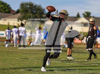 Thumbnail 3 in Mulberry @ George Jenkins photogallery.