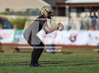 Thumbnail 1 in Mulberry @ George Jenkins photogallery.