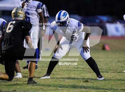 Thumbnail 3 in Mulberry @ George Jenkins photogallery.