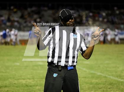 Thumbnail 1 in Mulberry @ George Jenkins photogallery.