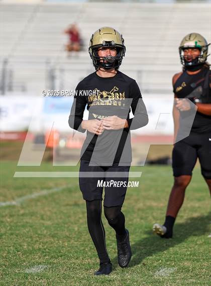 Thumbnail 2 in Mulberry @ George Jenkins photogallery.