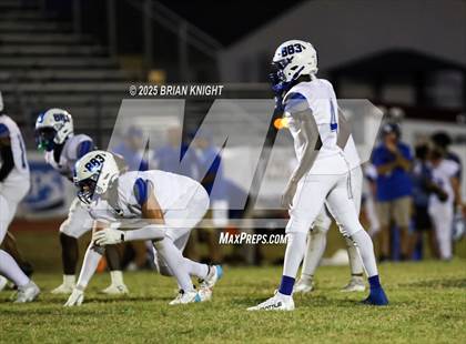 Thumbnail 1 in Mulberry @ George Jenkins photogallery.