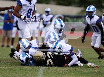 Thumbnail 3 in Mulberry @ George Jenkins photogallery.