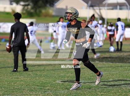 Thumbnail 3 in Mulberry @ George Jenkins photogallery.