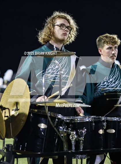 Thumbnail 2 in Mulberry @ George Jenkins photogallery.