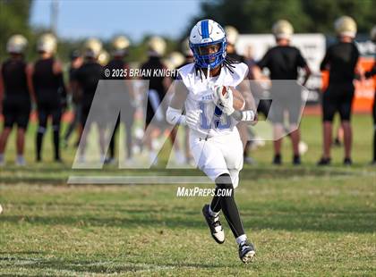 Thumbnail 1 in Mulberry @ George Jenkins photogallery.