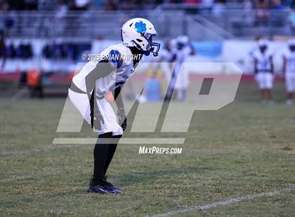 Thumbnail 1 in Mulberry @ George Jenkins photogallery.