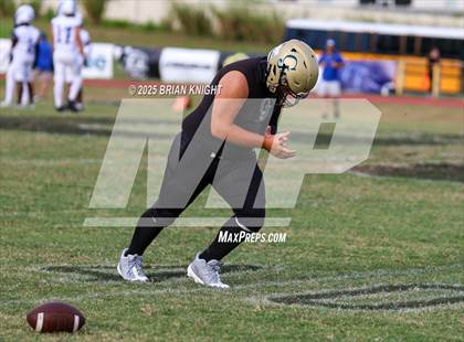 Thumbnail 1 in Mulberry @ George Jenkins photogallery.