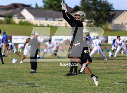 Thumbnail 3 in Mulberry @ George Jenkins photogallery.