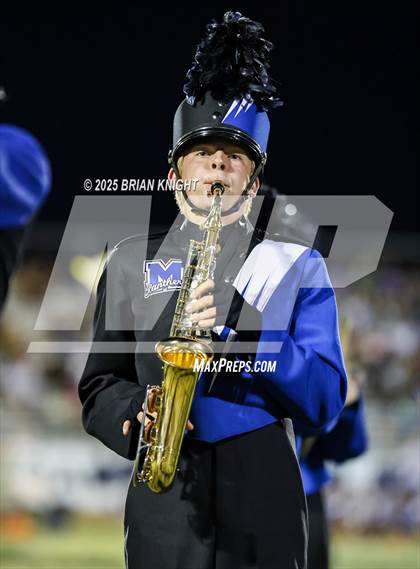 Thumbnail 2 in Mulberry @ George Jenkins photogallery.