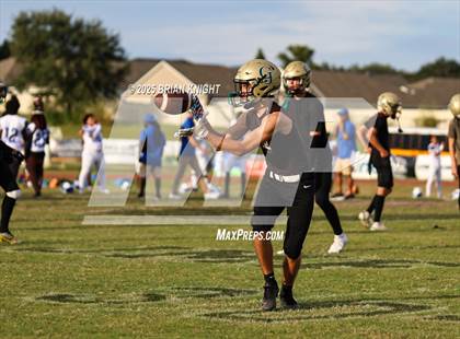 Thumbnail 2 in Mulberry @ George Jenkins photogallery.