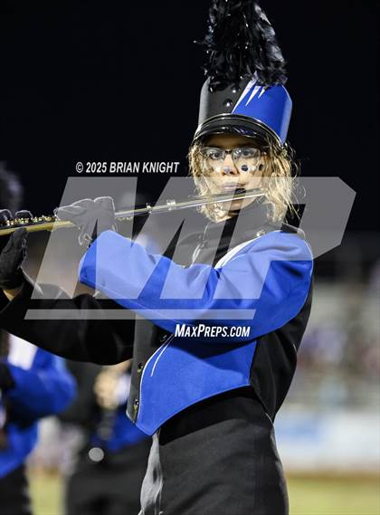 Thumbnail 3 in Mulberry @ George Jenkins photogallery.