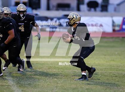 Thumbnail 1 in Mulberry @ George Jenkins photogallery.