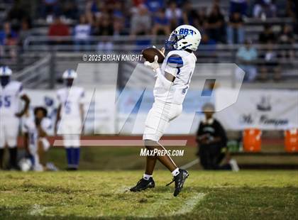 Thumbnail 2 in Mulberry @ George Jenkins photogallery.