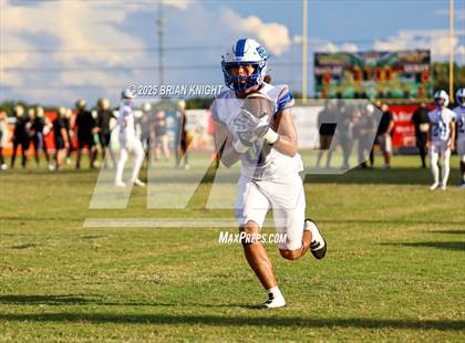 Thumbnail 3 in Mulberry @ George Jenkins photogallery.