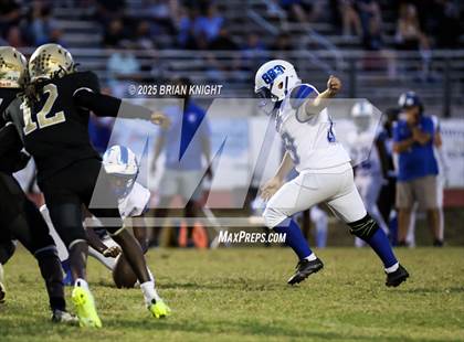 Thumbnail 1 in Mulberry @ George Jenkins photogallery.