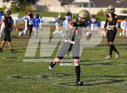 Thumbnail 1 in Mulberry @ George Jenkins photogallery.