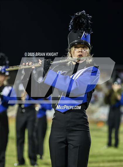 Thumbnail 2 in Mulberry @ George Jenkins photogallery.