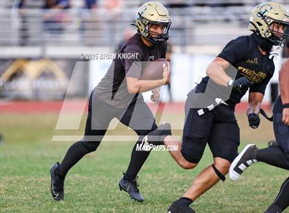 Thumbnail 3 in Mulberry @ George Jenkins photogallery.